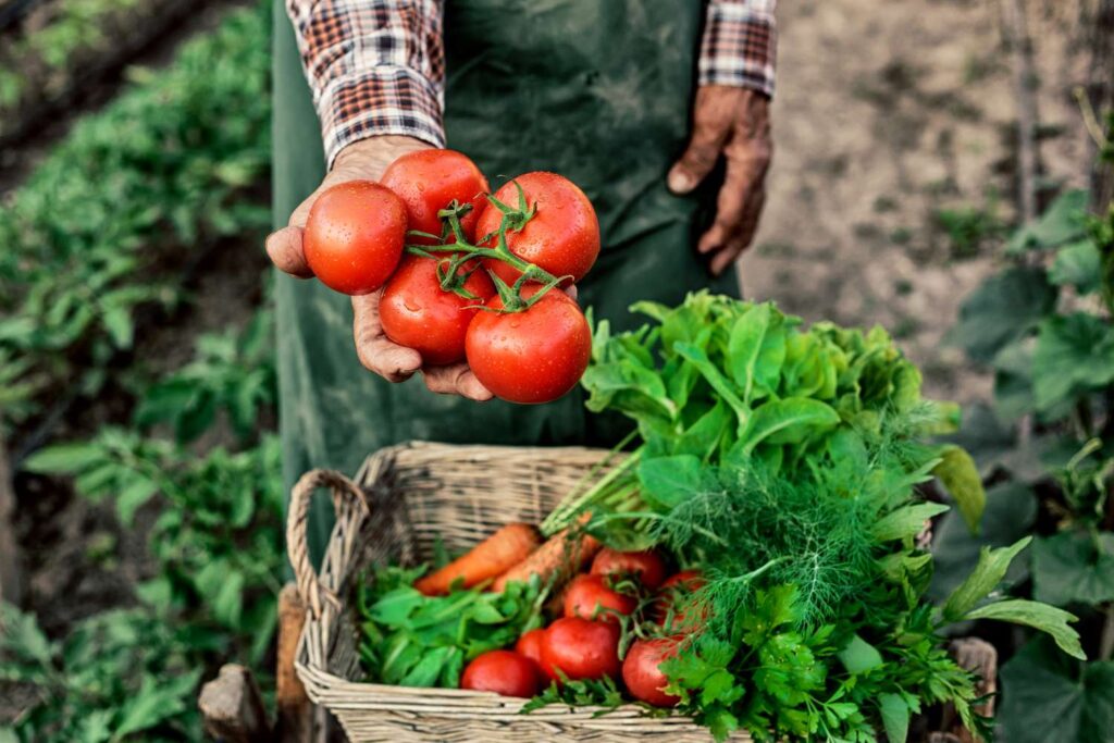 Tariffs Could Make Groceries Pricier—Here’s One Smart Way Around It