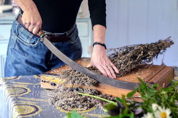 Tuesday Simmonds chopping up lavendar in preparation for yoni steaming