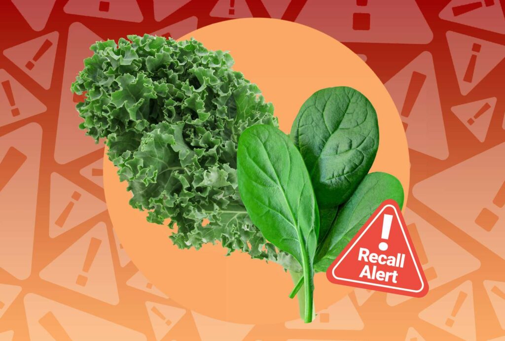 Kale and Spinach Recalled Due to Contamination