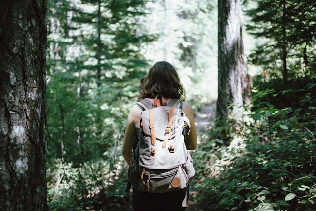 Nature Walks Can Transform Mental Health And Addiction Recovery
