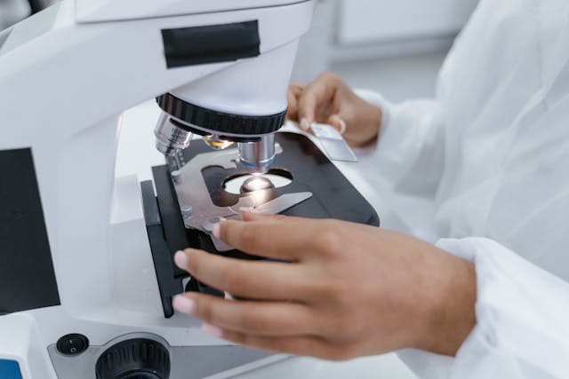 A Window Into The Transcriptome
