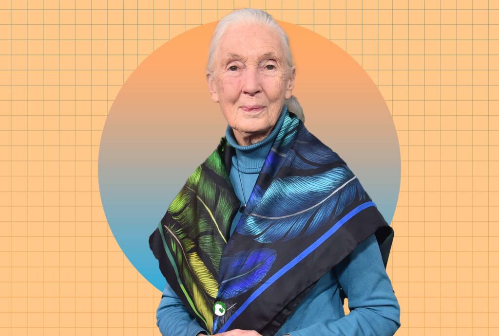 Jane Goodall's Veggie-Packed Orzo Salad Recipe